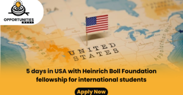 USA 2025 Heinrich Boll Foundation Fellowship