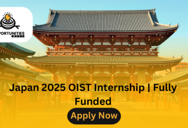 Japan 2025 OIST Internship | Fully Funded