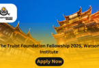 The Truist Foundation Fellowship 2025, Watson Institute