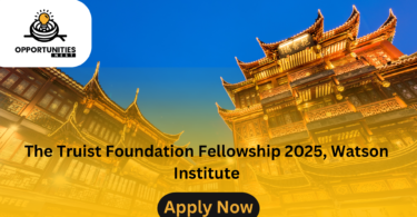 The Truist Foundation Fellowship 2025, Watson Institute