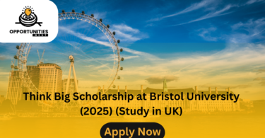 Think Big Scholarship at Bristol University (2025) (Study in UK)