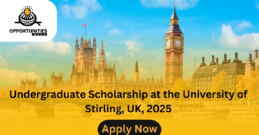 Undergraduate Scholarship at the University of Stirling, UK, 2025