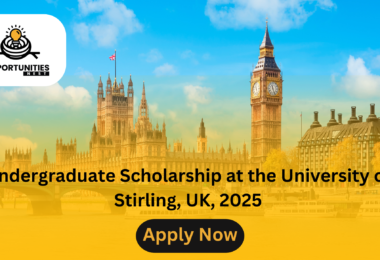 Undergraduate Scholarship at the University of Stirling, UK, 2025