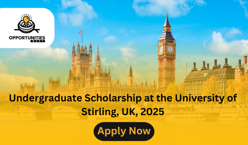 Undergraduate Scholarship at the University of Stirling, UK, 2025