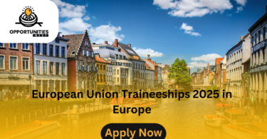 European Union Traineeships 2025 in Europe