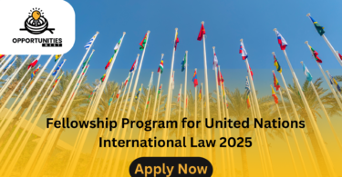 Fellowship Program for United Nations International Law 2025