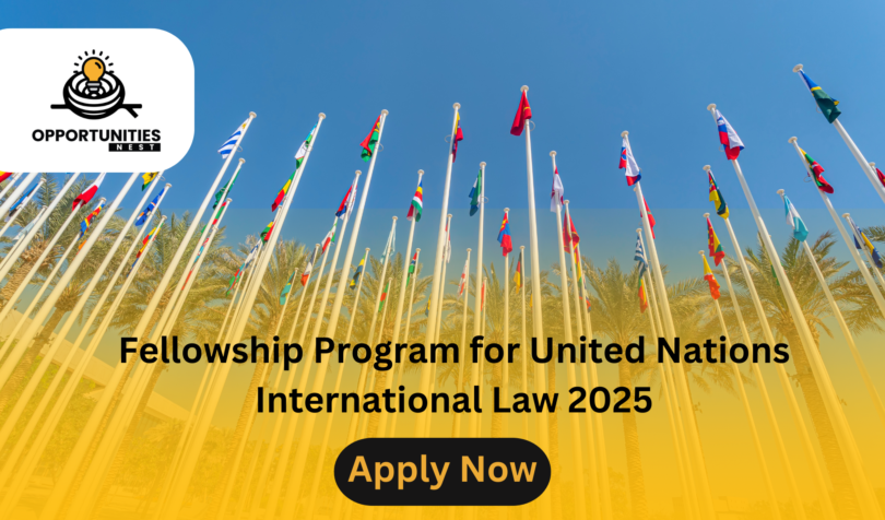 Fellowship Program for United Nations International Law 2025