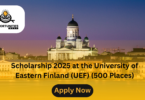 Scholarship 2025 at the University of Eastern Finland (UEF) (500 Places)