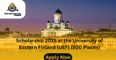 Scholarship 2025 at the University of Eastern Finland (UEF) (500 Places)