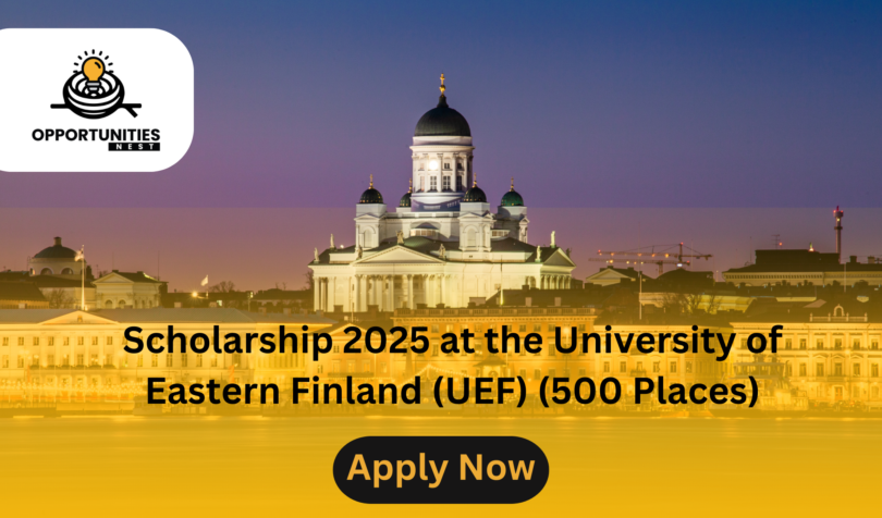 Scholarship 2025 at the University of Eastern Finland (UEF) (500 Places)