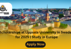 Scholarships at Uppsala University in Sweden for 2025 | Study in Europe