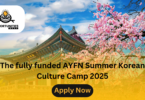 The fully funded AYFN Summer Korean Culture Camp 2025