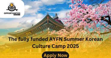 The fully funded AYFN Summer Korean Culture Camp 2025