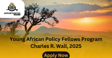 Young African Policy Fellows Program Charles R. Wall, 2025