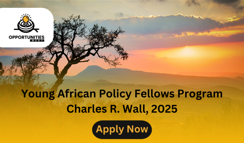 Young African Policy Fellows Program Charles R. Wall, 2025