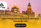 China Peking University Boya Postdoctoral Fellowship 2025