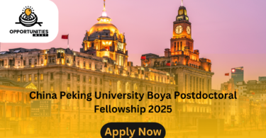 China Peking University Boya Postdoctoral Fellowship 2025