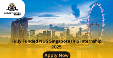 Fully Funded NUS Singapore IRIS Internship 2025