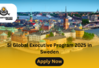 SI Global Executive Program 2025 in Sweden