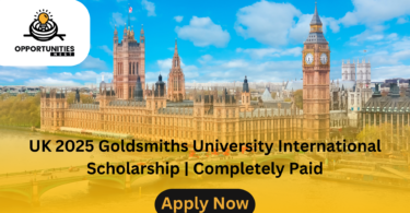 UK 2025 Goldsmiths University International Scholarship | Completely Paid