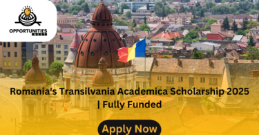 Romania's Transilvania Academica Scholarship 2025 | Fully Funded