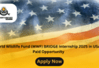 World Wildlife Fund (WWF) BRIDGE Internship 2025 in USA | Paid Opportunity