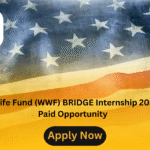 World Wildlife Fund (WWF) BRIDGE Internship 2025 in USA | Paid Opportunity