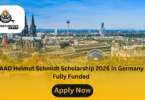 DAAD Helmut Schmidt Scholarship 2026 in Germany | Fully Funded