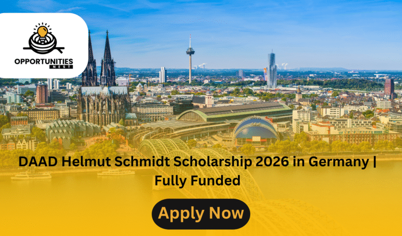 DAAD Helmut Schmidt Scholarship 2026 in Germany | Fully Funded