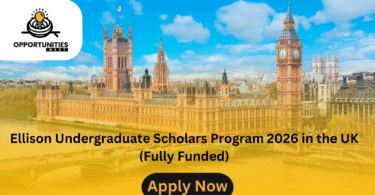 Ellison Undergraduate Scholars Program 2026 in the UK (Fully Funded)