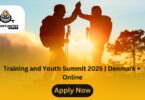 Training and Youth Summit 2025 | Denmark + Online