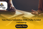 Yale Peace Fellowship 2026 | Fully Funded Fellowship
