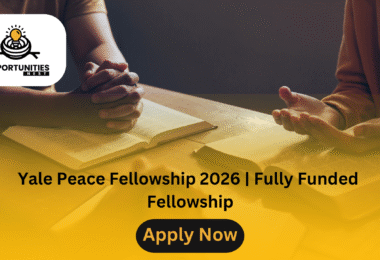 Yale Peace Fellowship 2026 | Fully Funded Fellowship